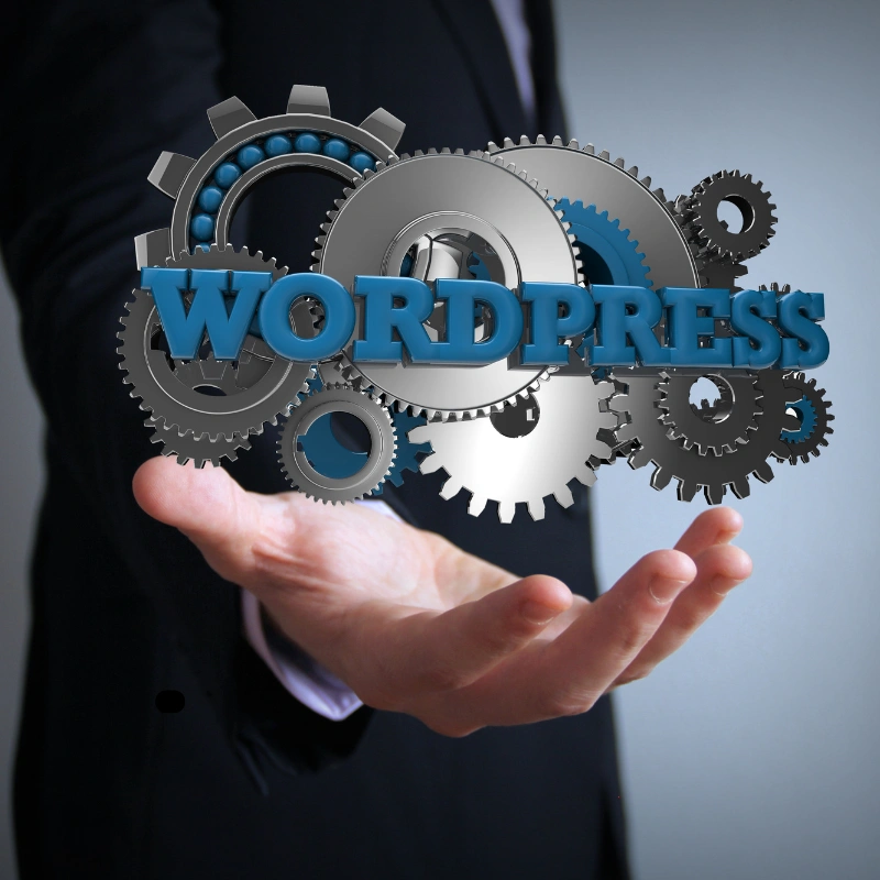 Wordpress Website Development Services